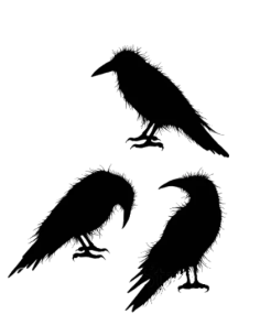 sello Crow Set de lavinia stamps