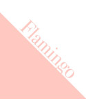 A3 Cartulina Flamingo
