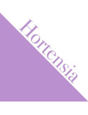 A3 Cartulina  Hortensia