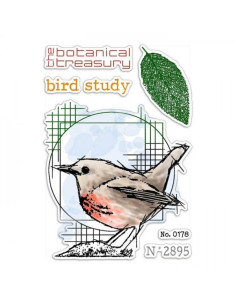 Sello Bird Study Ciao Bella