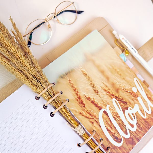 Organizador para agenda Piel Beige COMPLETO - Imagen 11