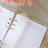 Set de 3 separadores Transparentes para agenda - Imagen 4