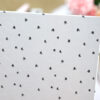 Carpeta 4x6'' estrella Austral - Imagen 5