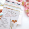 Set de tarjetas Ilustraciones Rita