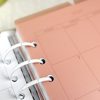 Set de 3 separadores Rosa transparente para agenda A5, por Alúa Cid