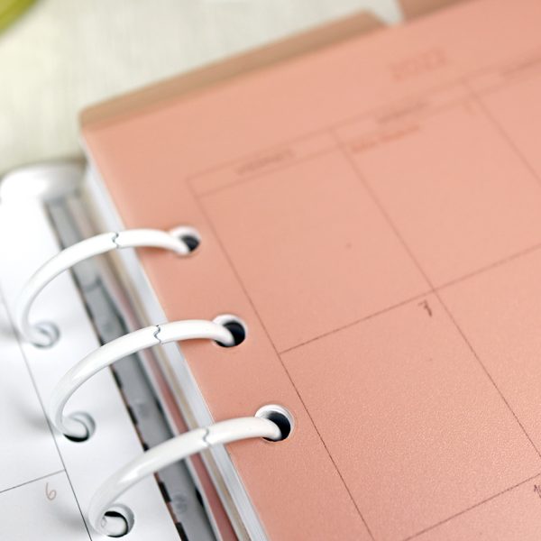 Set de 3 separadores Rosa transparente para agenda A5, por Alúa Cid