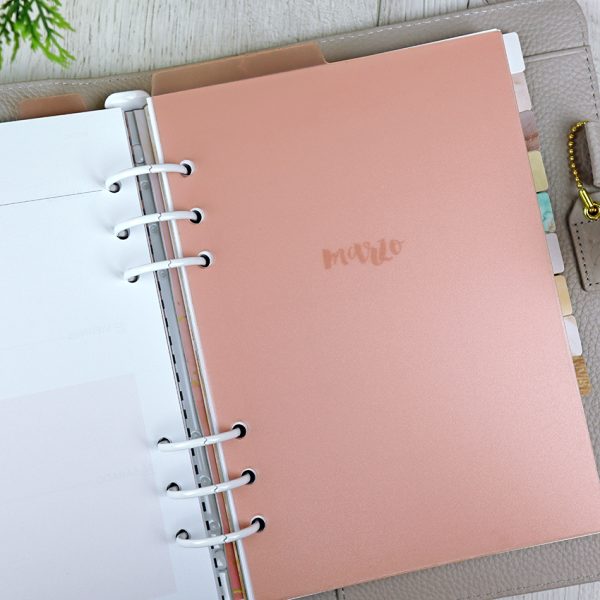Set de 3 separadores Rosa transparente para agenda - Imagen 2