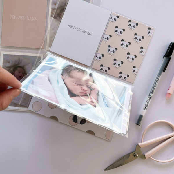 Pack de Foto Flips 4x6" para Rita's Diary - Imagen 3