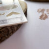 Chipboard Patio - Imagen 7