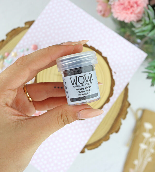Polvos de emboss Primary ebony Super fine de WOW!