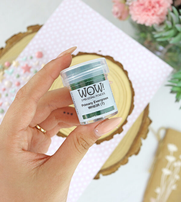 Polvos de emboss Primary evergreen de WOW!