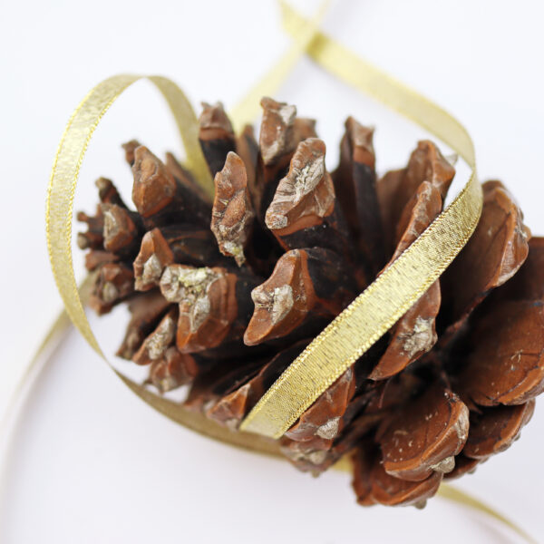 detalle cinta oro