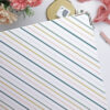Carpeta 9x12'' Rayas - Imagen 2