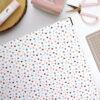 Carpeta 9x12" Plastidecor