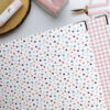 Carpeta 9x12" Plastidecor - Imagen 9