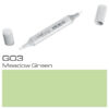 Copic Sketch G03 Meadow Green