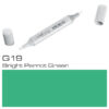 Copic Sketch G19 Bright Parrot Green