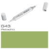Copic Sketch G43 Pistachio