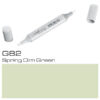 Copic Sketch G82 Spring Dim Green