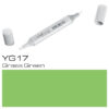 Copic Sketch YG17 Grass Green