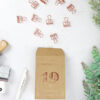 Clips oro rosa, de Tools to Liveby