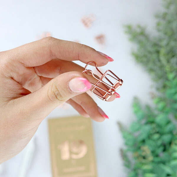Clips oro rosa, de Tools to Liveby - Imagen 3