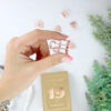 Clips oro rosa, de Tools to Liveby - Imagen 4