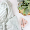 Muselina doble Listas Menta - Imagen 2