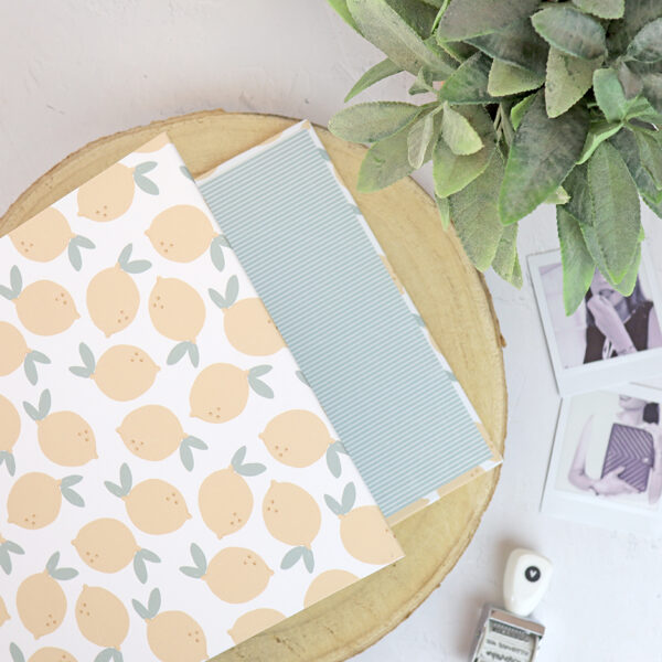 Carpeta 6x8" Limonada - Imagen 3