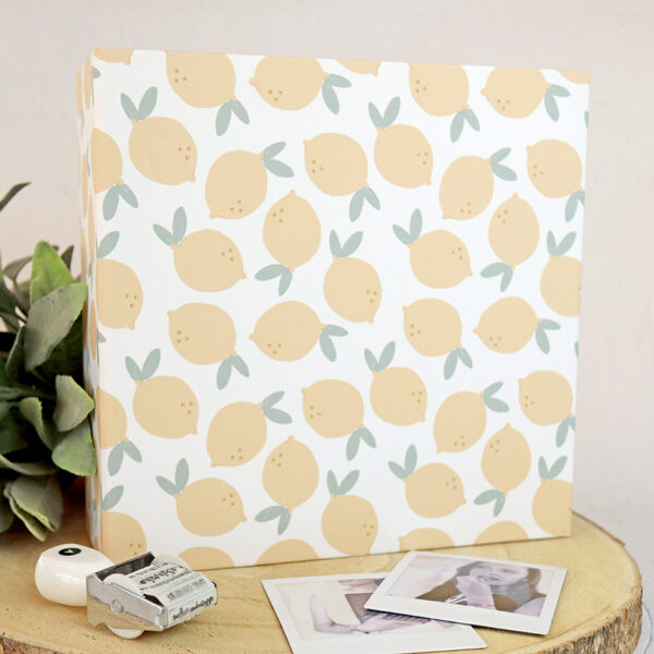 Carpeta 6x8" Limonada
