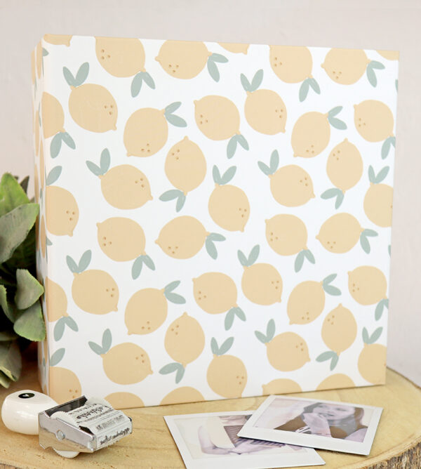 Carpeta 6x8" Limonada