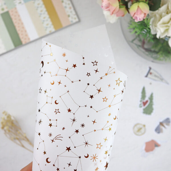 Vellum con foil Perseidas de Lora Bailora
