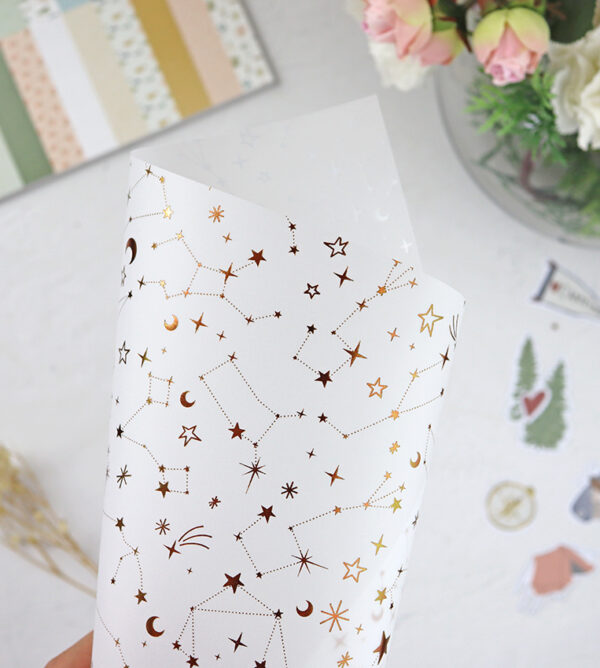 Vellum con foil Perseidas de Lora Bailora