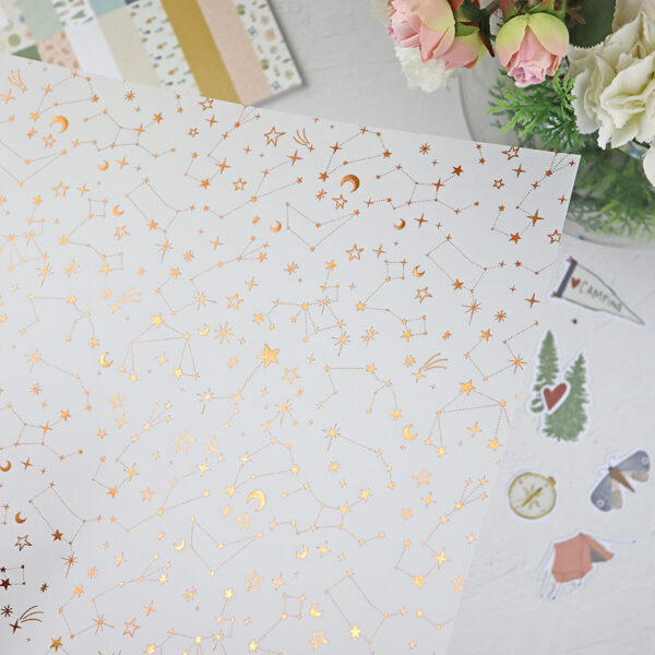 Vellum con foil Perseidas de Lora Bailora - Imagen 3