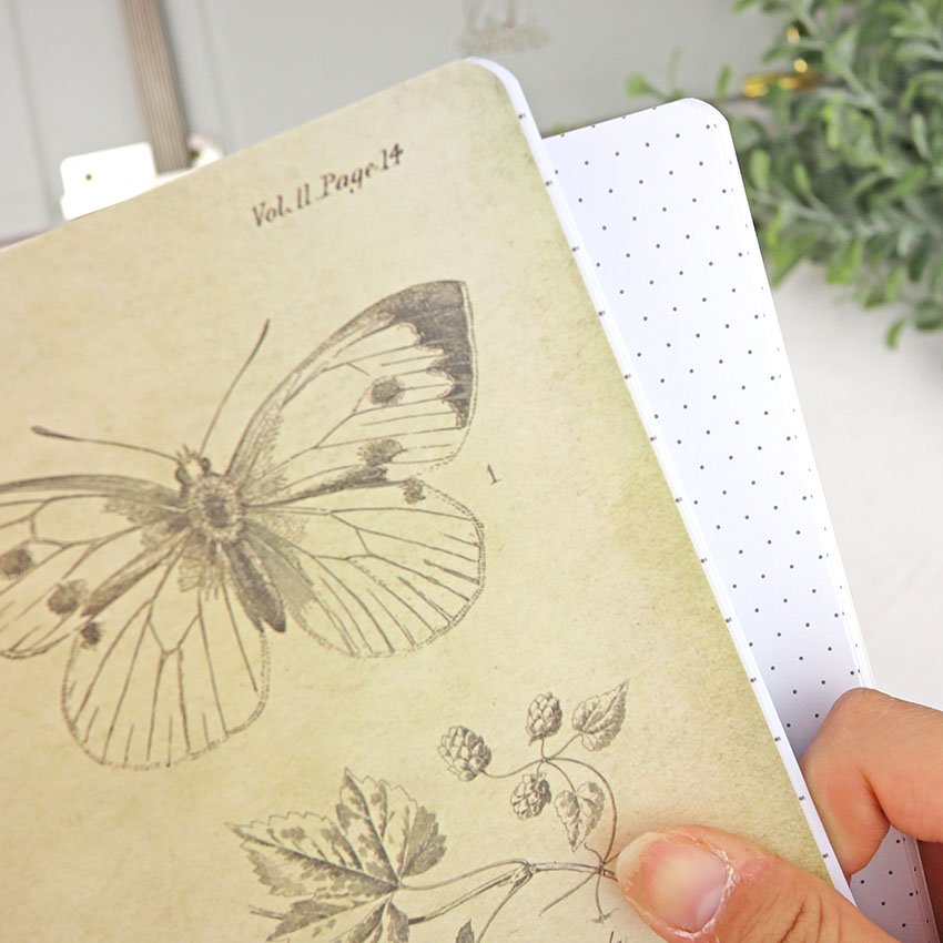 Set de 3 cuadernos Journaler para carpeta Storyline de Heidi Swapp - Imagen 3