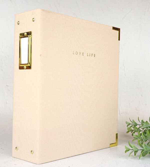 Carpeta varillas Rosa Storyline de Heidi Swapp