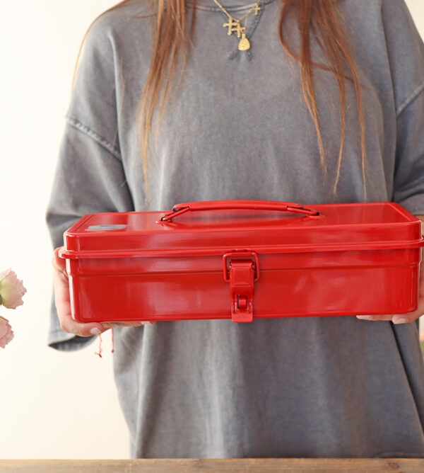 Caja T-320 Rojo de Toyo Steel