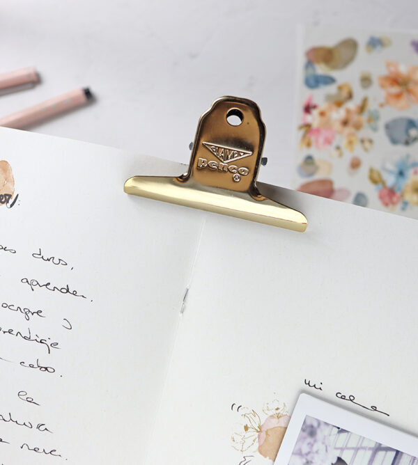Clip Acero Retro de Penco