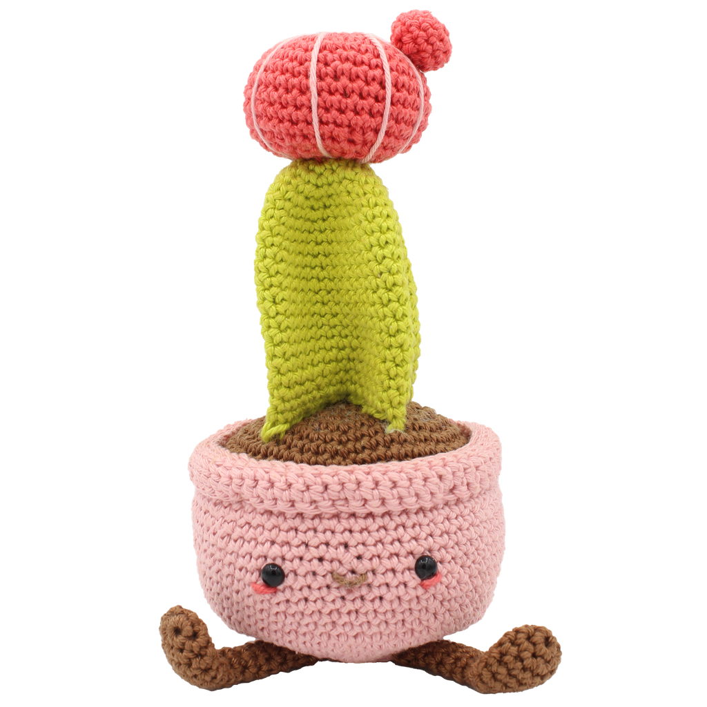 Kit de crochet Cactus Moon, de Hardicraft