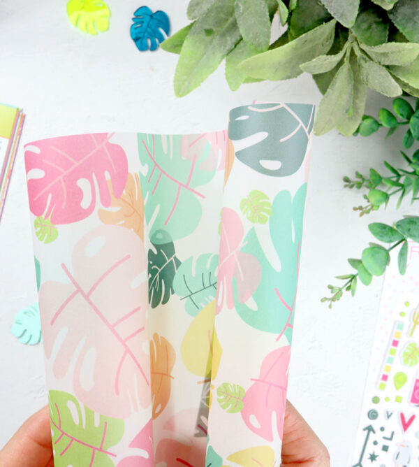 Papel vegetal Mosteras Tropic de Dunaon
