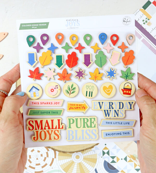 Adornos de Madera Ordinary Joys de Pinkfresh